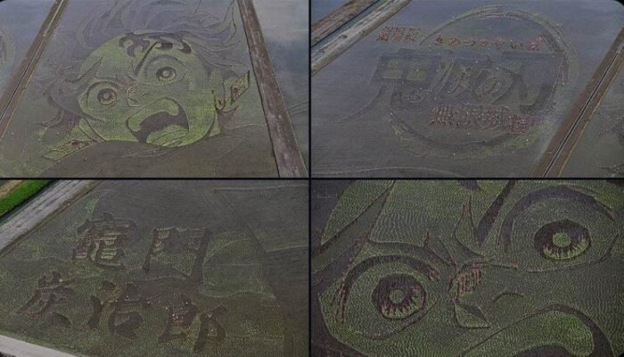 Auto Speechless! Sawah di Jepang Disulap Jadi Wajah Tanjiro Demi Promosi Film Demon Slayer Infinity Castle!
